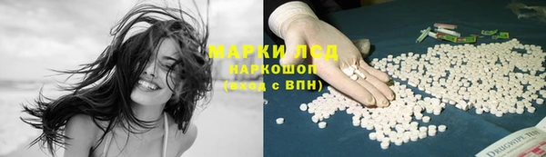 прущие грибы Осинники