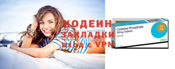 прущие грибы Осинники
