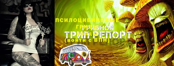 прущие грибы Осинники
