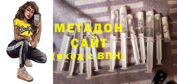 прущие грибы Осинники