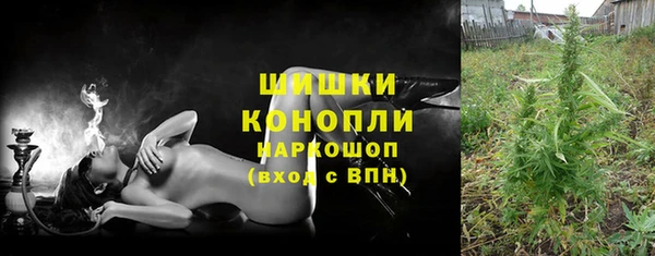 прущие грибы Осинники