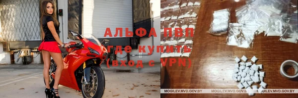 мяу мяу мука Пересвет