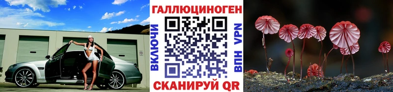 Галлюциногенные грибы Psilocybe  Кизляр 