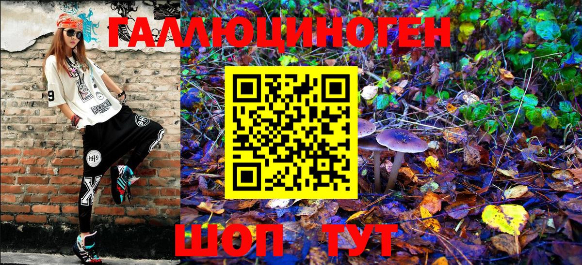 Псилоцибиновые грибы прущие грибы Кизляр