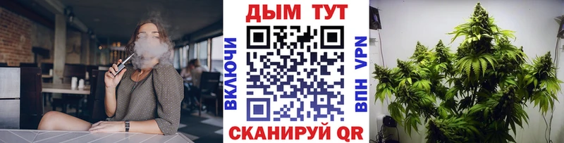 маркетплейс наркотические препараты  где можно купить   Кизляр  Бошки марихуана сатива 