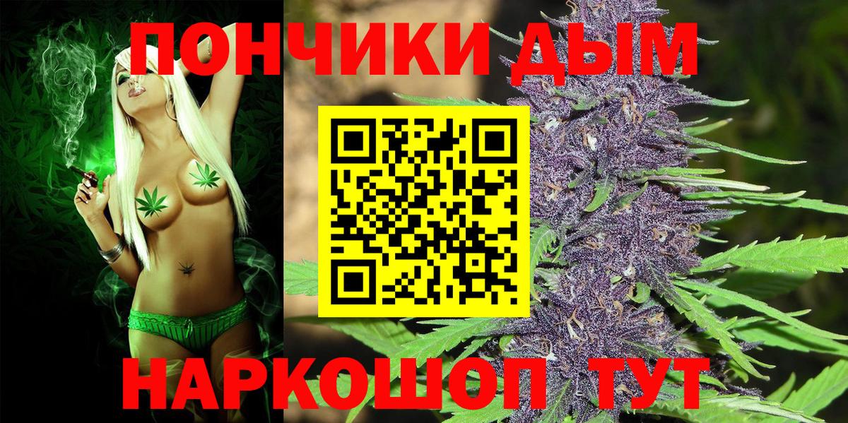 Бошки Шишки конопля Кизляр